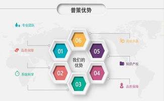技术服务创业 高利润项目与盈利指南